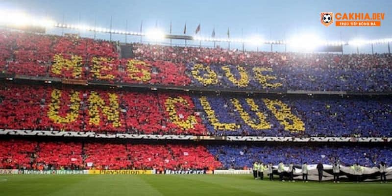 Cules được hiểu như những cái mông