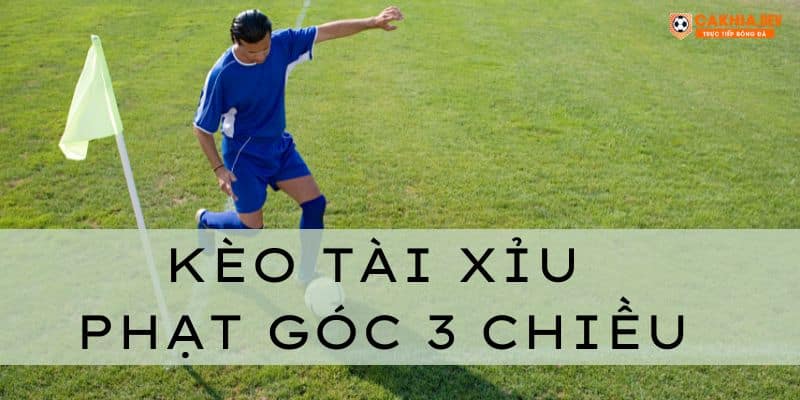 Cách Chơi Kèo Tài Xỉu Phạt Góc 3 Chiều Dễ Thắng Cho Newbie