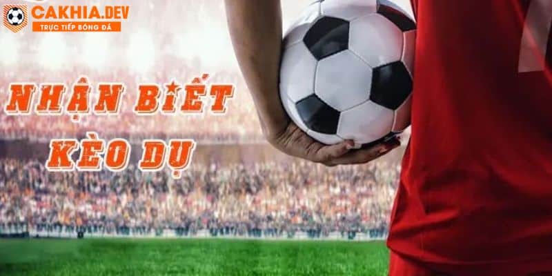 Cách để bet thủ nhận biết kèo dụ dễ dàng