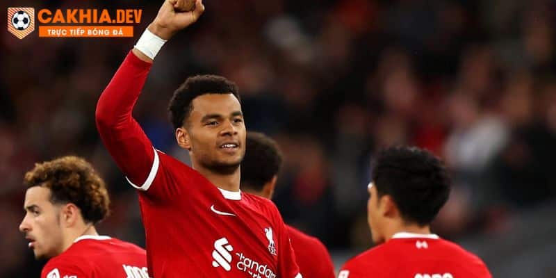 Minh họa cho trận đấu giữa Liverpool gặp Everton